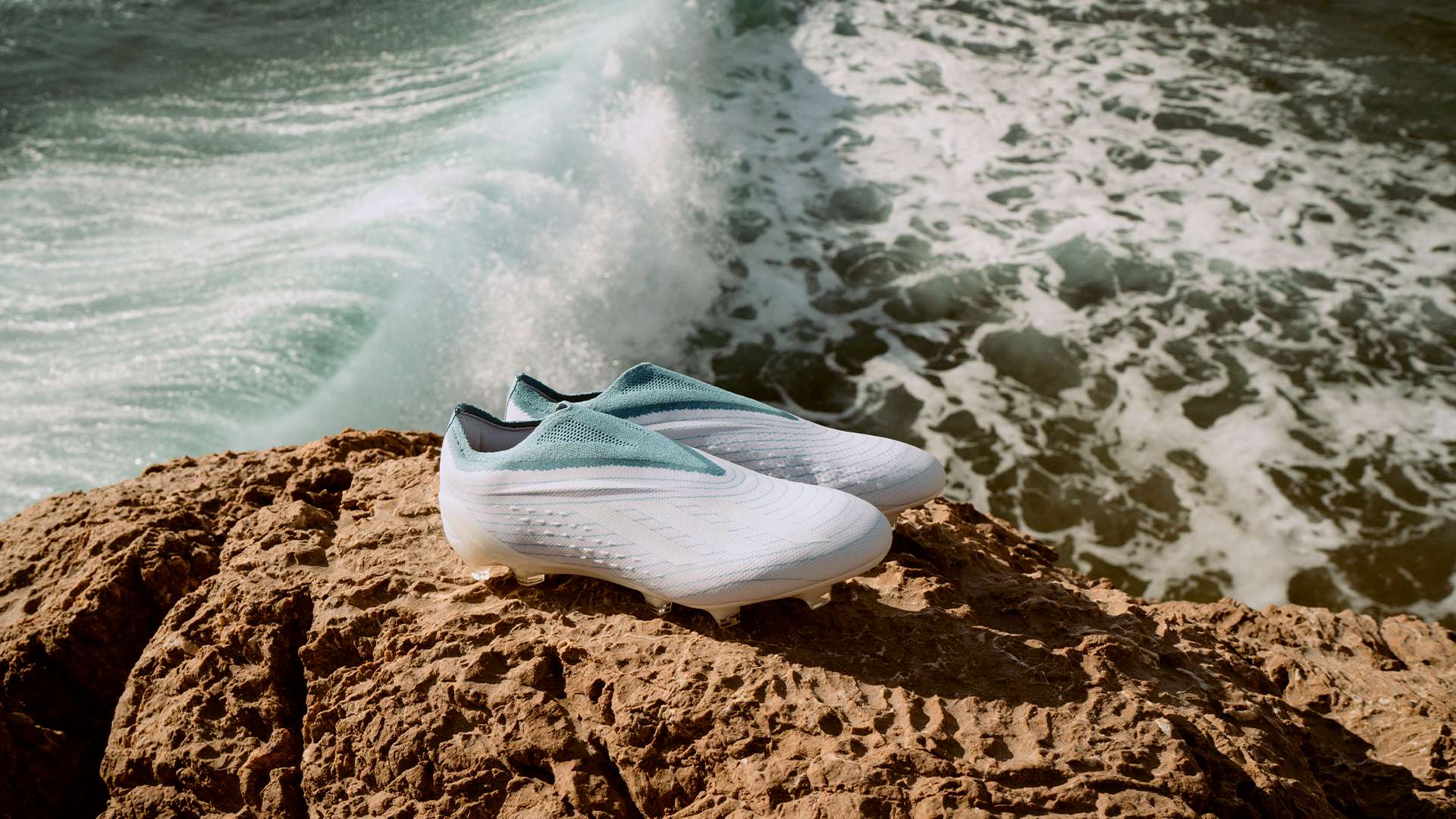 活力与期待 活力与期待